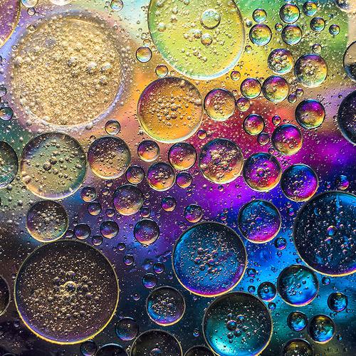 Превью фотографии фотографа Ксения Орлова