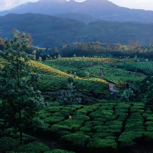 Preview Photographer\'s photo Павел Супрун