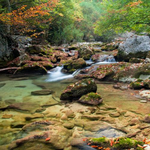 Preview Photographer\'s photo WENIK