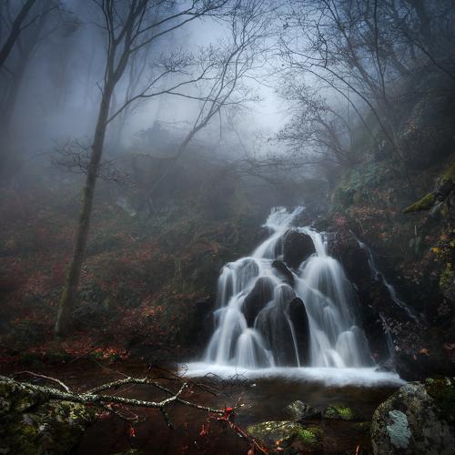 Preview Photographer\'s photo Александър Александров