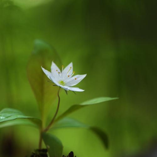 Превью фотографии фотографа Наталия К