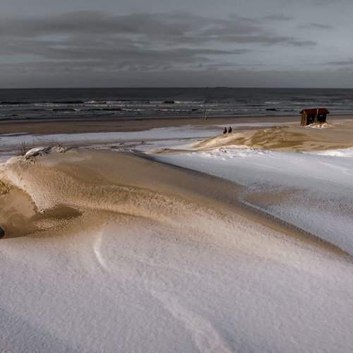 Preview Photographer\'s photo Dr.Romualdas