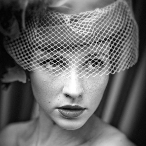 Preview Photographer\'s photo Дмитрий Толоконов