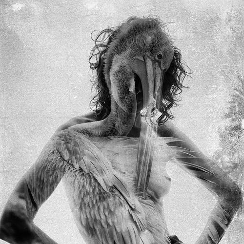 Preview Photographer\'s photo Andris Apshenieks