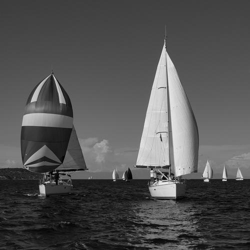 Превью фотографии фотографа mehmet enver karanfil