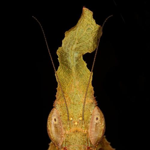 Превью фотографии фотографа Александр Зорин