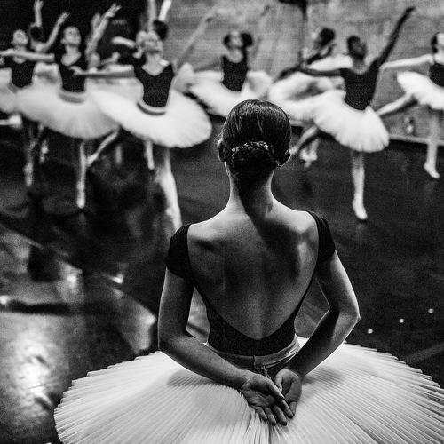 Превью фотографии фотографа Irakly Shanidze