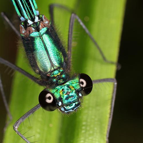 Превью фотографии фотографа Александр Зорин