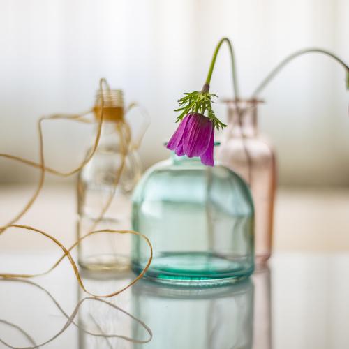 Preview Photographer\'s photo mehmet enver karanfil