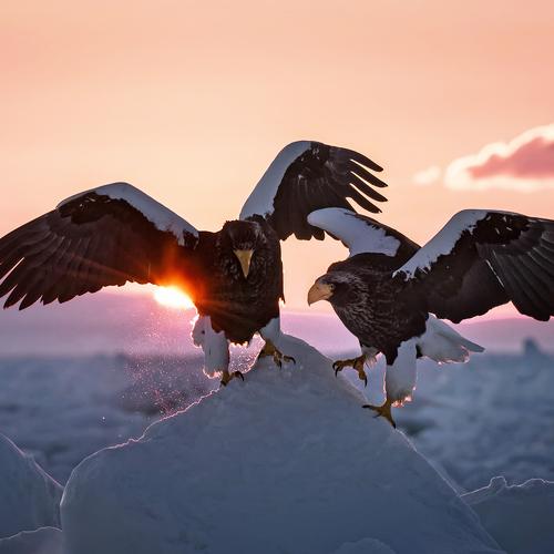 Preview Photographer\'s photo suk eun kim