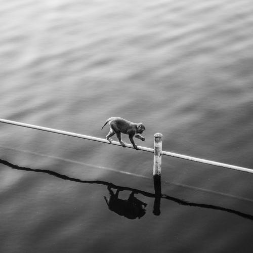 Превью фотографии фотографа Kurlov Aleksei