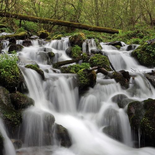 Превью фотографии фотографа Евгений Никишин