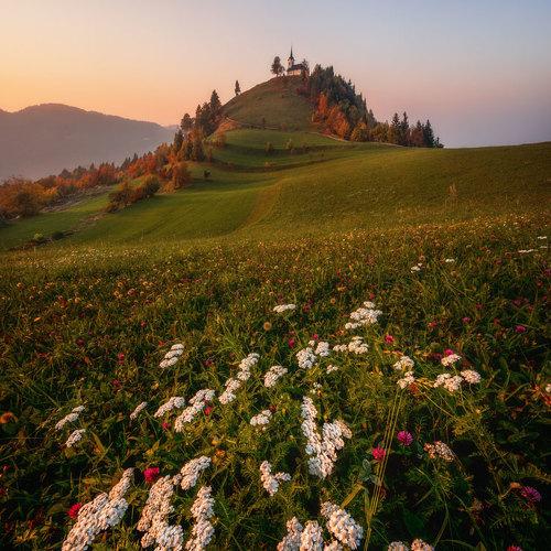 Превью фотографии фотографа Oleg Rest