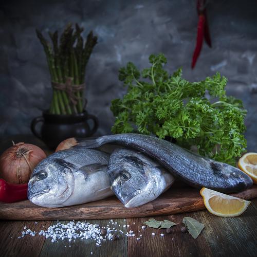 Превью фотографии фотографа  Lapland