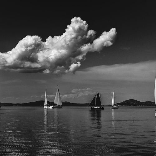 Превью фотографии фотографа mehmet enver karanfil