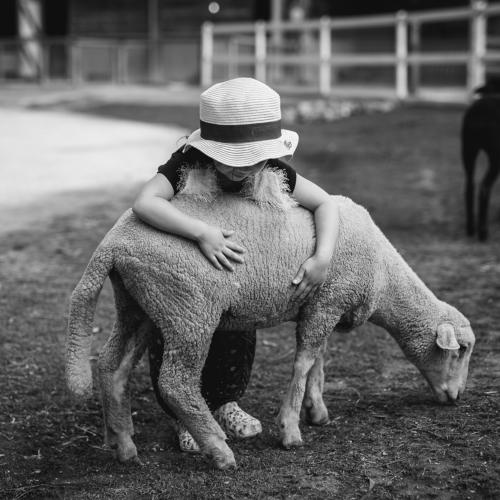 Preview Photographer\'s photo Derek Zhang