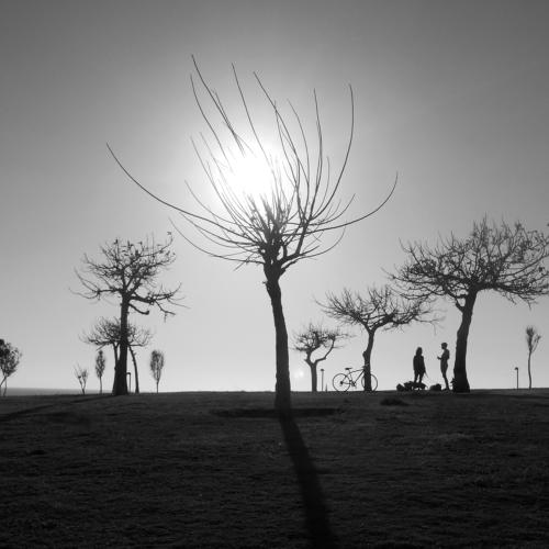 Превью фотографии фотографа vladimir algazin