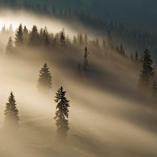 Preview Photographer\'s photo Lazar Ioan Ovidiu