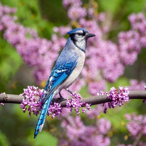 Превью фотографии фотографа Yury Lugansky