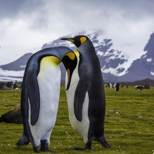 Preview Photographer\'s photo George