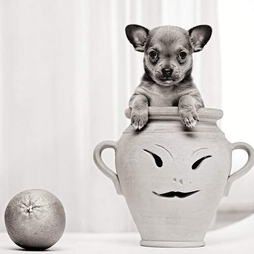 Превью фотографии фотографа Ludmila Yilmaz