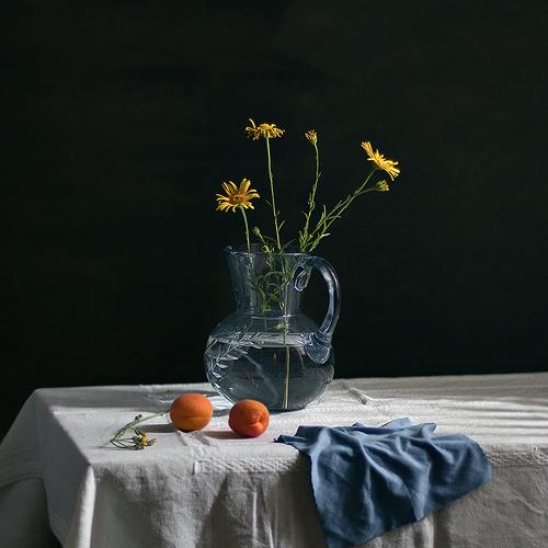 Preview Photographer\'s photo Georg Stein