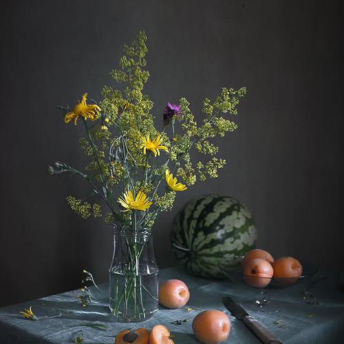 Preview Photographer\'s photo Georg Stein