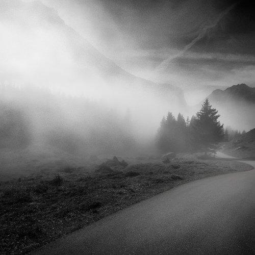 Превью фотографии фотографа Aivars