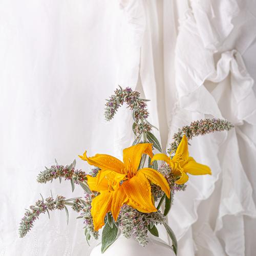 Превью фотографии фотографа Наталья Кайзер