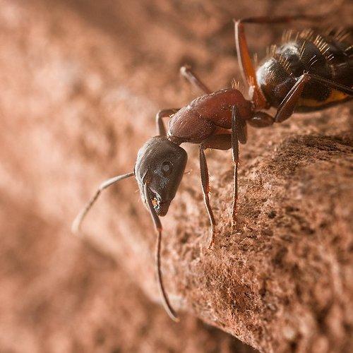 Preview Photographer\'s photo Helena Flykt