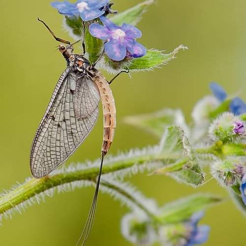 Превью фотографии фотографа jozef sowa