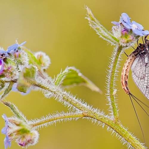 Preview Photographer\'s photo jozef sowa