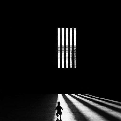 Превью фотографии фотографа SELARU OVIDIU