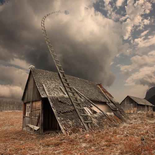 Preview Photographer\'s photo Caras Ionut