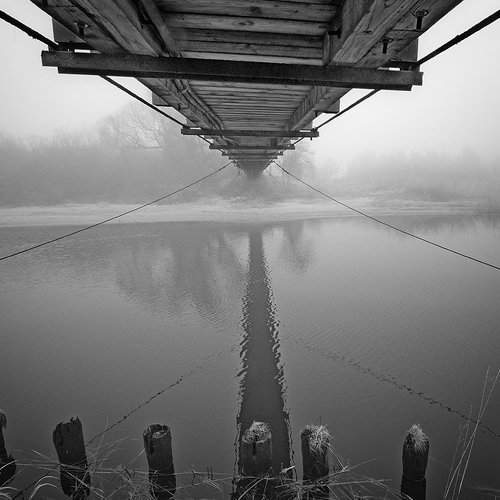 Preview Photographer\'s photo Dr.Romualdas