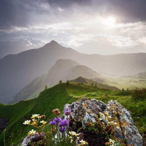 Превью фотографии фотографа Martin Rak