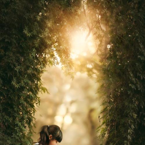 Preview Photographer\'s photo Despird Zhang