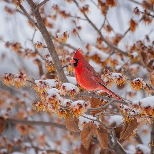 Preview Photographer\'s photo Yury Lugansky