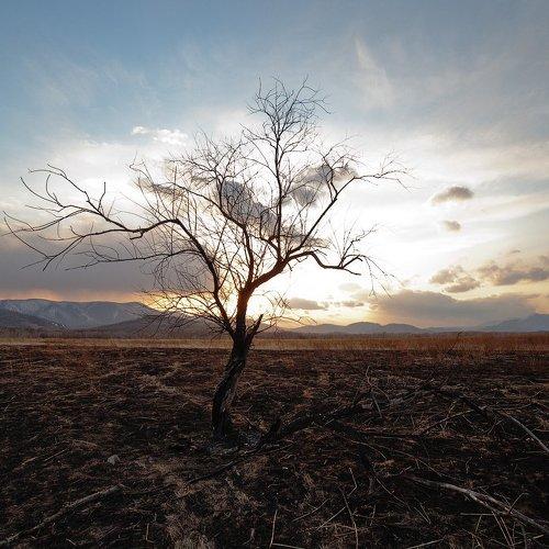 Превью фотографии фотографа Дмитрий Рудаков