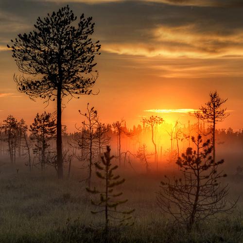 Превью фотографии фотографа Vladimir Bragilevsky