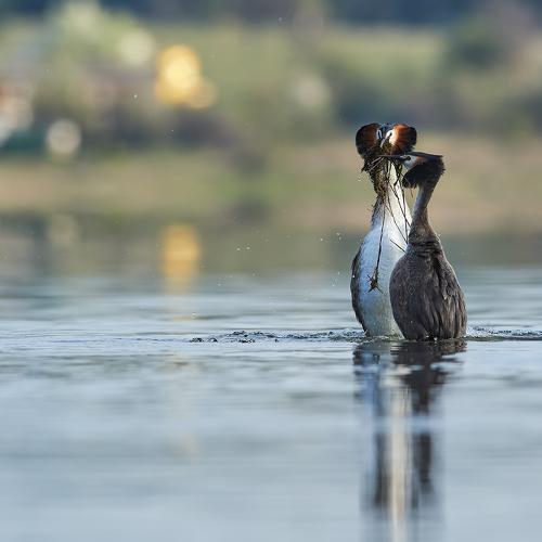 Preview Photographer\'s photo Калин Ботев