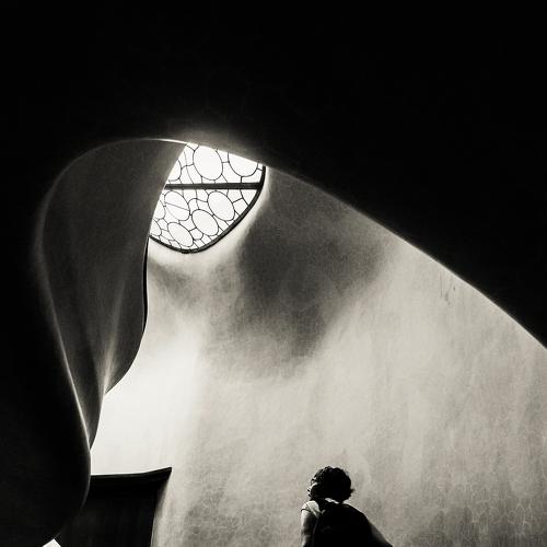 Preview Photographer\'s photo Osvaldo Gon