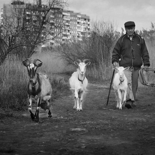Превью фотографии фотографа Евгений Смердов