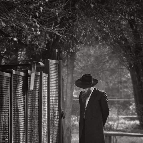 Preview Photographer\'s photo владимир