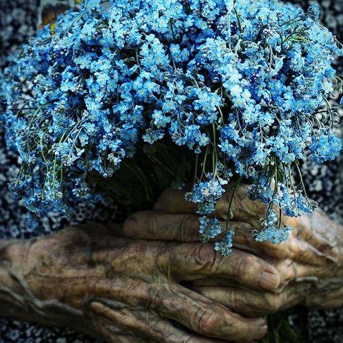 Превью фотографии фотографа Ludmila Yilmaz