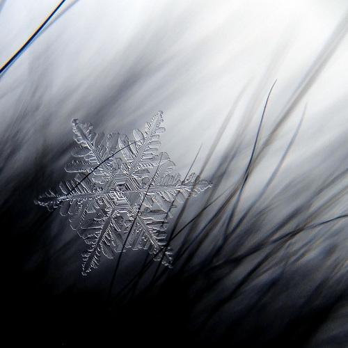 Превью фотографии фотографа Зоя Мумина