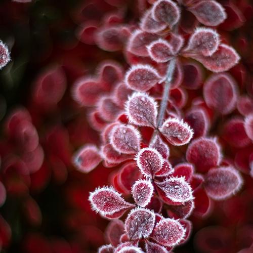 Превью фотографии фотографа Игнатьев Александр