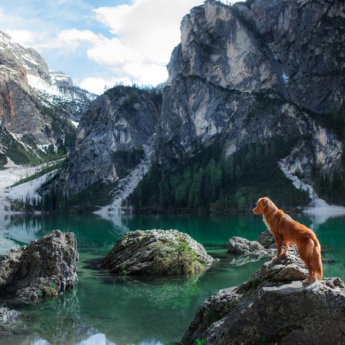 Превью фотографии фотографа Анна Аверьянова