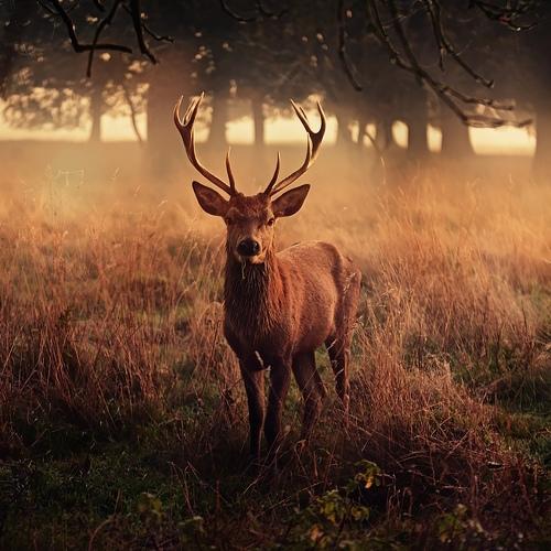 Preview Photographer\'s photo Robert Fabrowski