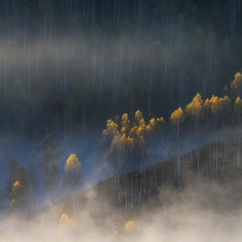 Превью фотографии фотографа Матаров Красимир